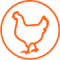 Poultry (Broilers)