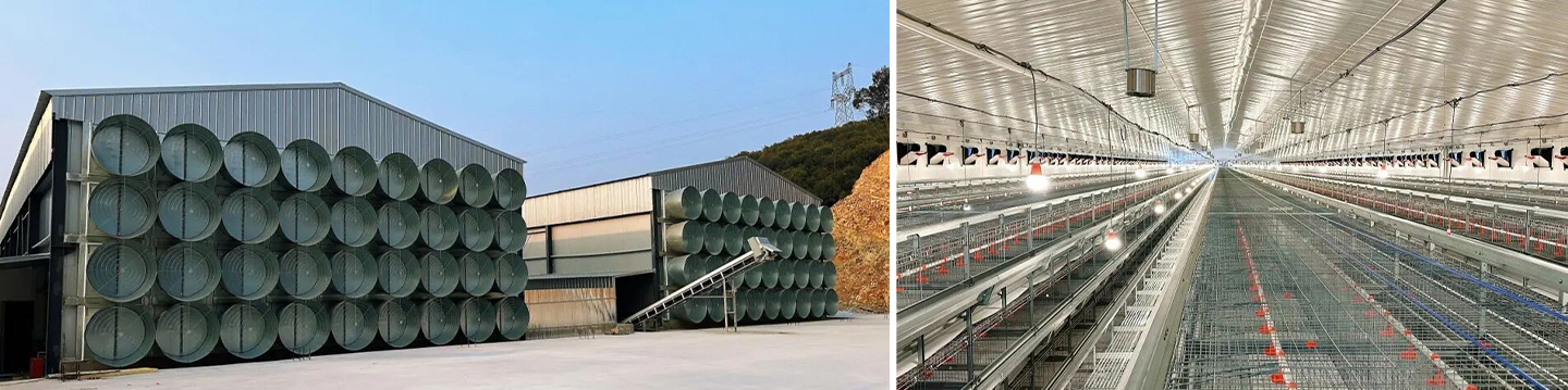 Brooding Equipment in Place! Little Giant Helps Jiangxi's 2 Million-Bird Modern Layer Farm Construction Enter the Fast Lane