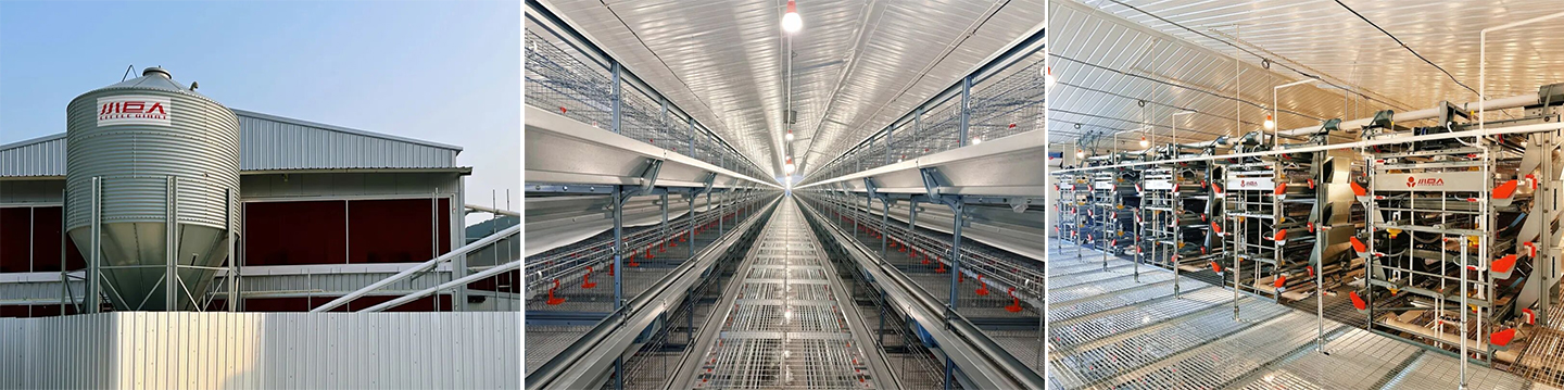 Brooding Equipment in Place! Little Giant Helps Jiangxi's 2 Million-Bird Modern Layer Farm Construction Enter the Fast Lane