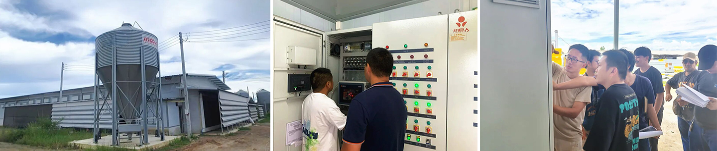 Empowering Smart Breeding! Little Giant Successfully Completes Environmental Control Training for Thailand's 400,000-Bird Layer Project! 