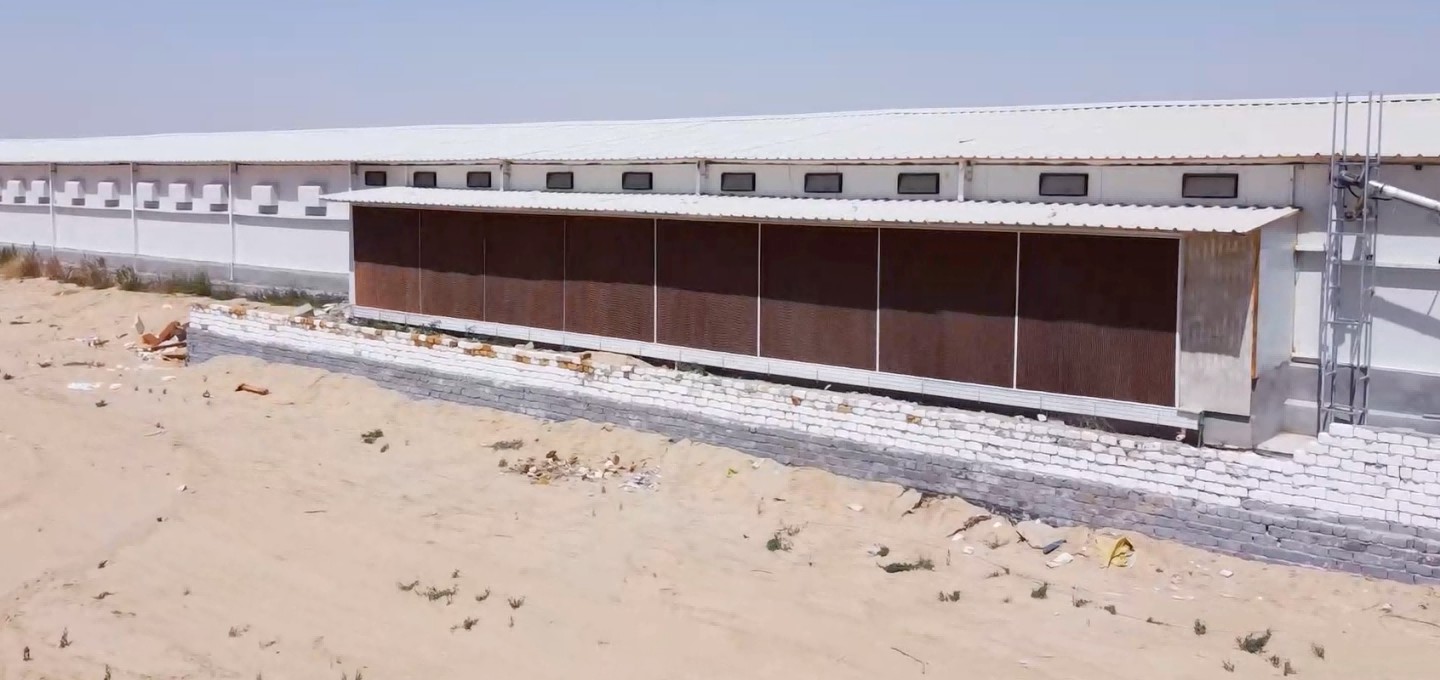 A Modern Broiler Farm Project in Egypt