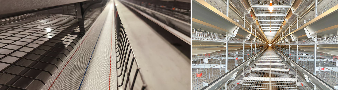 Jiajiang 2 Million Layer Modern Egg Farm Project