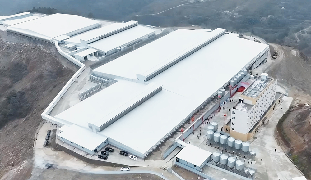 Ankang Breeding Pig Farm Project