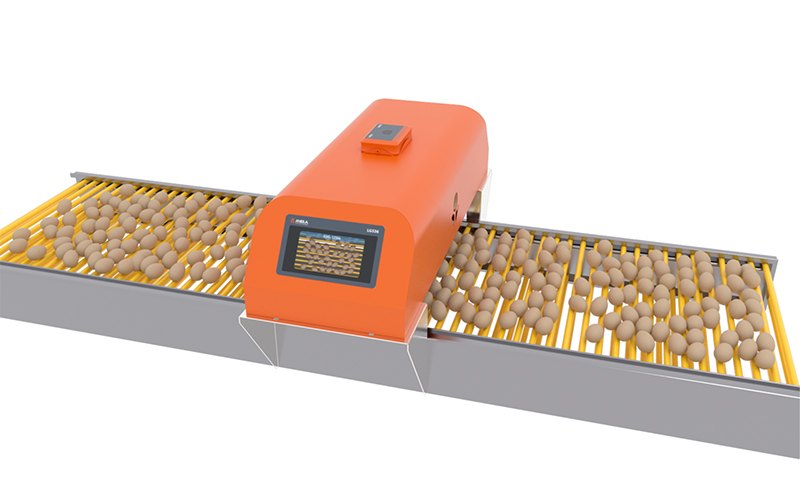 Intelligent Egg Counter