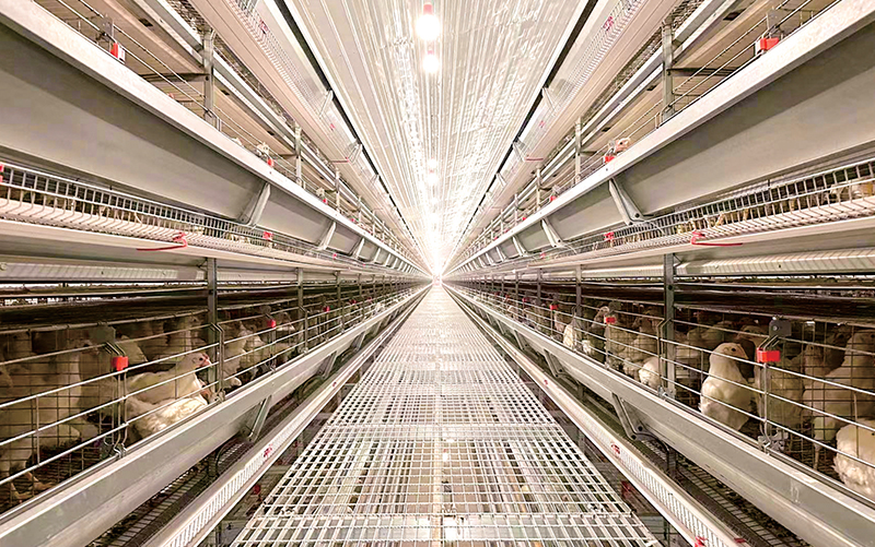 Traveling Feeder System