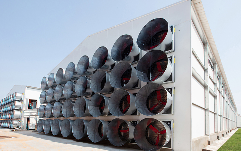 High Negative Pressure, Energy-Saving Wind-Gathering Cylinder Fan