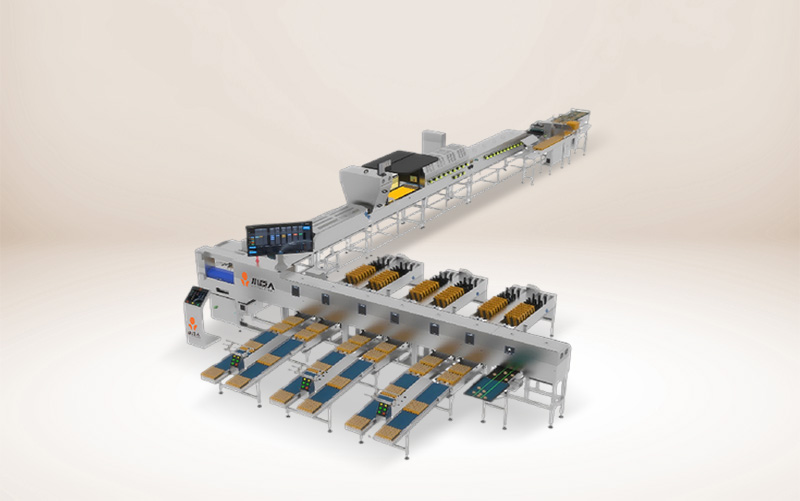 BGP Series Egg Grading & Packaging System