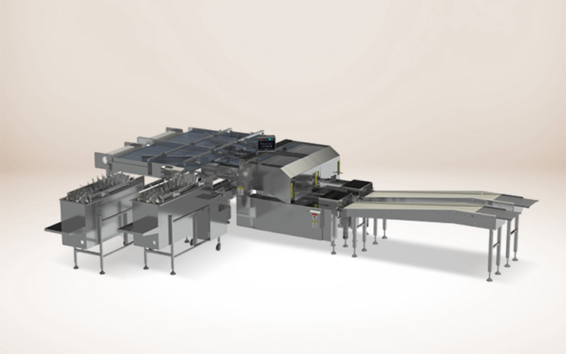 BFP Series Automatic Egg Tray Packing System