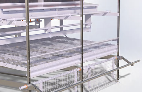 Perch / Roosting Perch