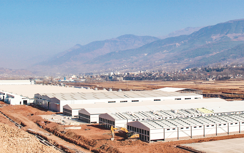 Steel Structure House