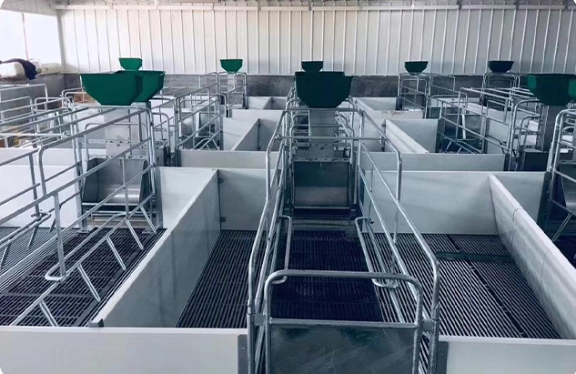 Automatic Feeder For Pig Farm Pros And Cons