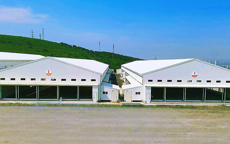 6-Row 4-Tier Broiler Project