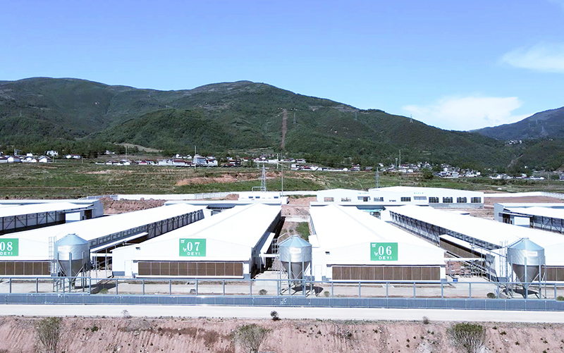 Yuexi 3 Million 5-Row 4-Tier Layer Project