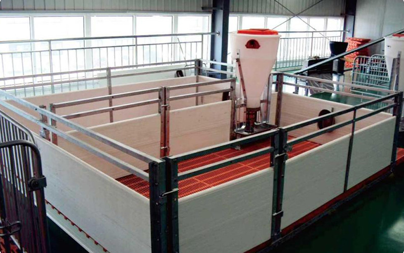 The Piglets Conservation Bar