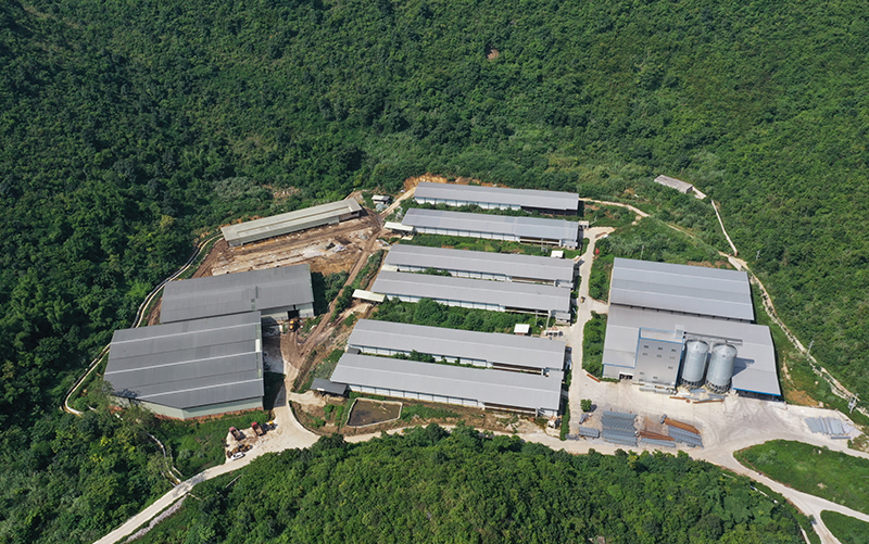 Nanning 1 Million 5-Row 4-Tier Layer Project