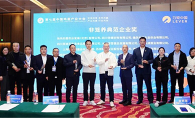 Gathering Intelligence for Empowerment | Little Giant Helps the 7th China Egg Industry Conference Conclude Successfully!