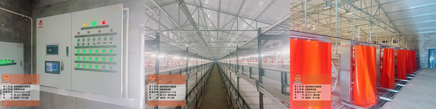 Little Giant Empowers Lantian Modern Broiler Breeding Demonstration Park Project to Enter Production