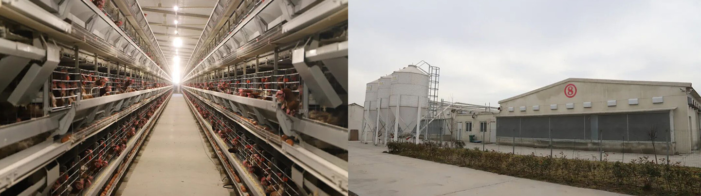 Little Giant Presents | Another Premium Project Delivered in Fujian