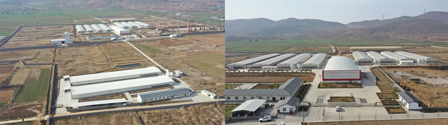 Little Giant Helps Hangshuo Animal Husbandry Build a Leading Digital Agriculture Enterprise in Henan Province