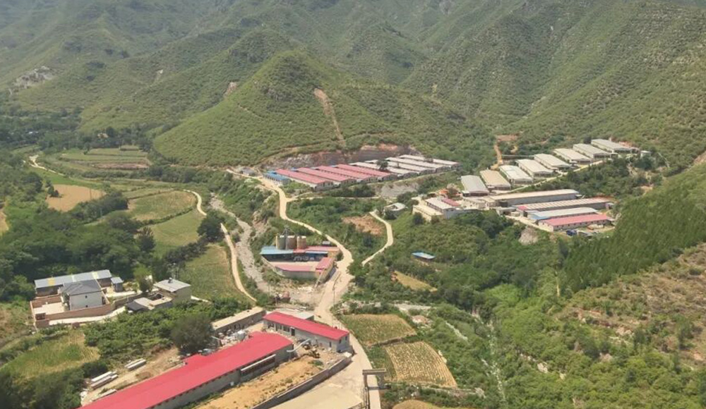 2024 Hebei Laying Hen Welfare Cage Project Showcase