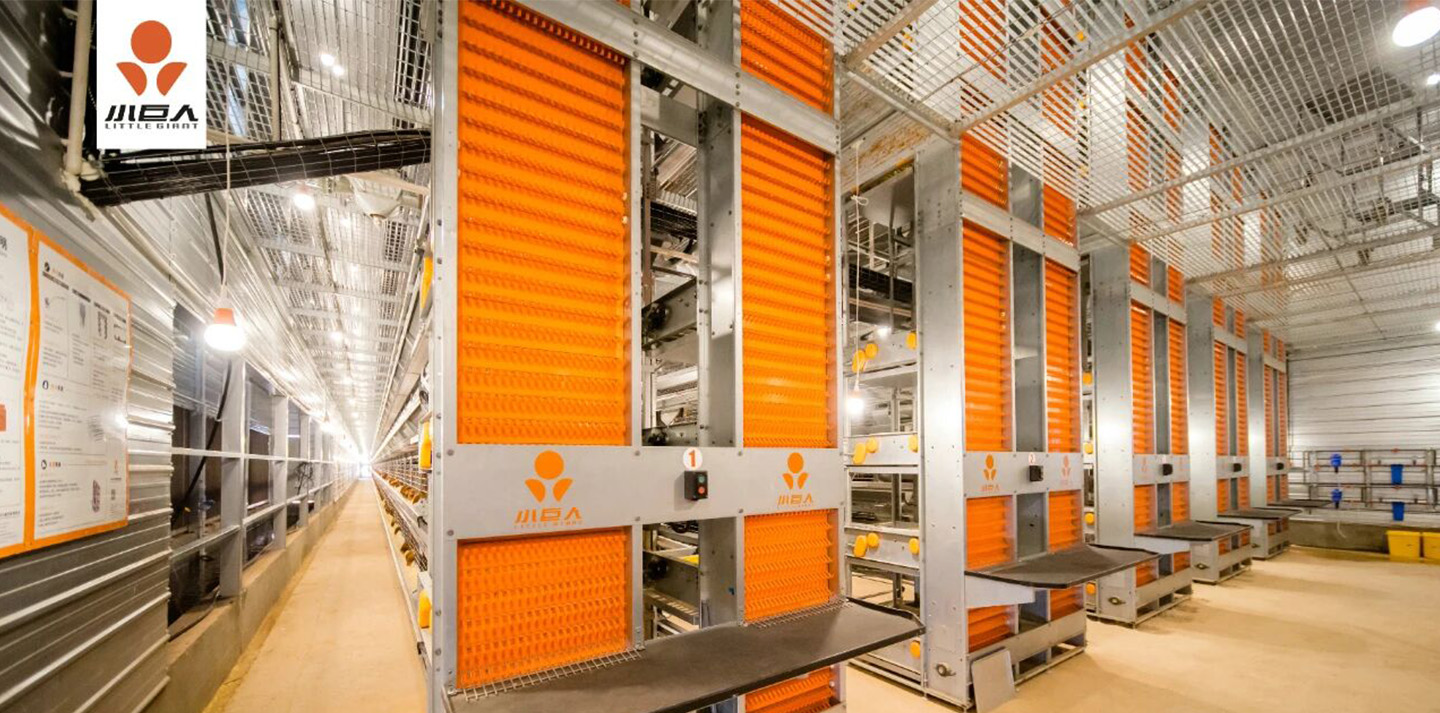 Little Giant | Another Premium Project Delivered in Jiangsu