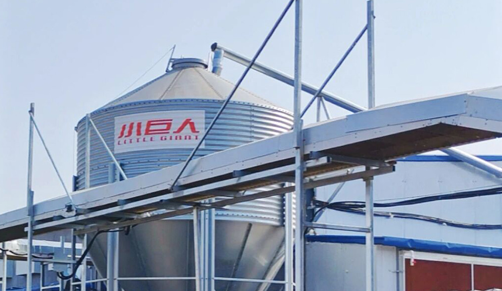 Another 2 Houses Delivered!Little Giant&rsquo;s Total Delivery in Heze Exceeds 5 Million Layers