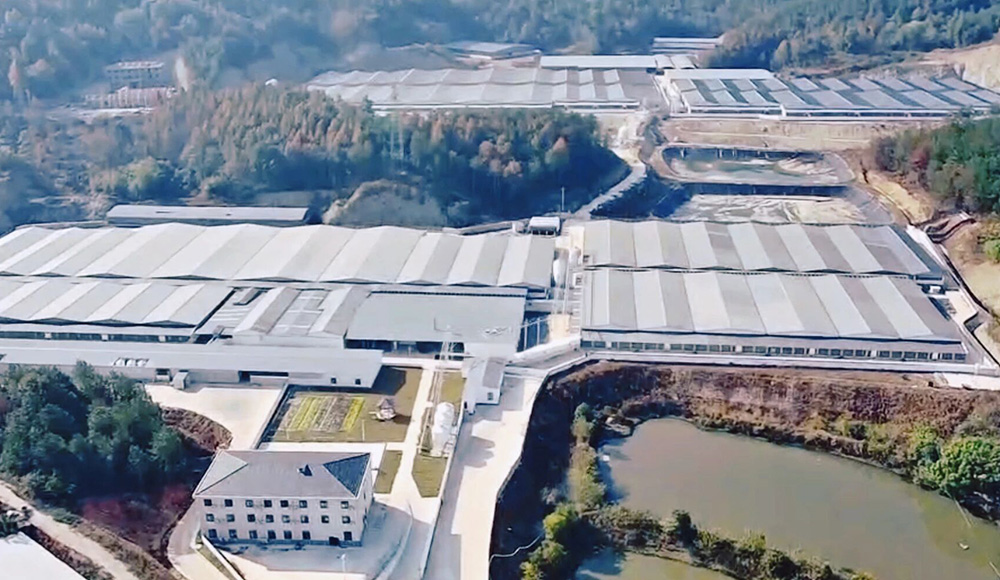 Full Production of 10,000-head Modern Pig Farm! Little Giant Helps Build a New Benchmark for Modern