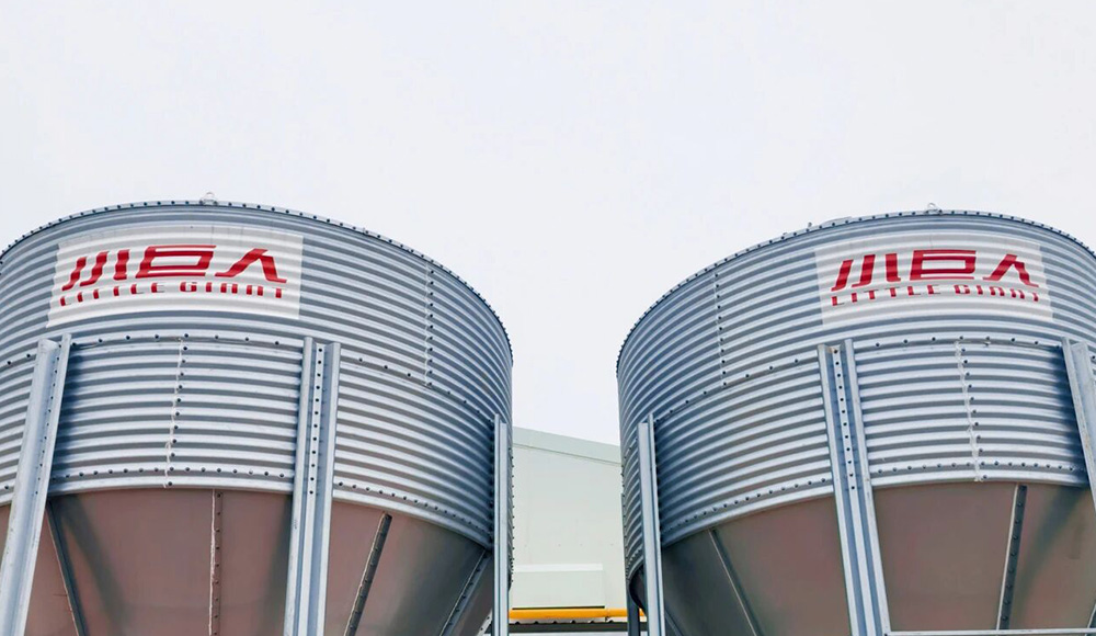 EPC Steel Structure Completed! Major Milestone Achieved in the Breeder House Construction of the Jia