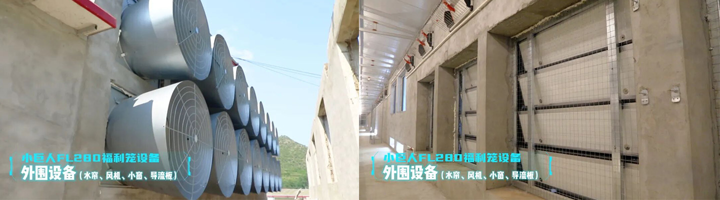 2024 Hebei Laying Hen Welfare Cage Project Showcase