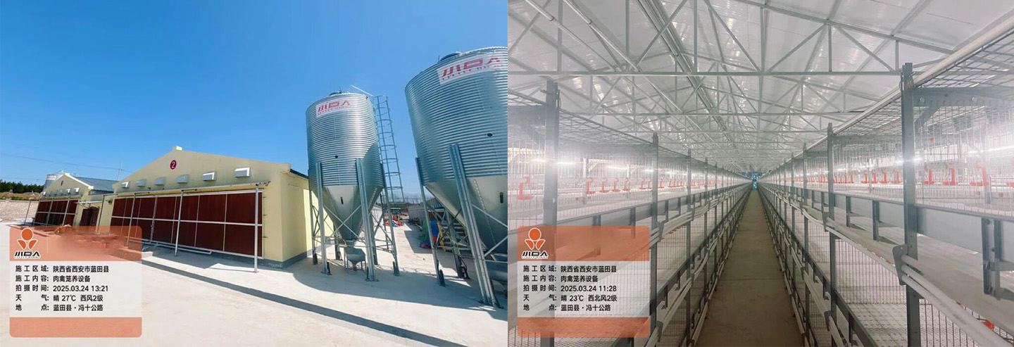Little Giant Empowers Lantian Modern Broiler Breeding Demonstration Park Project to Enter Production