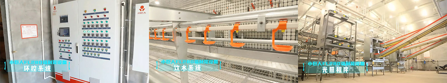 2024 Hebei Laying Hen Welfare Cage Project Showcase