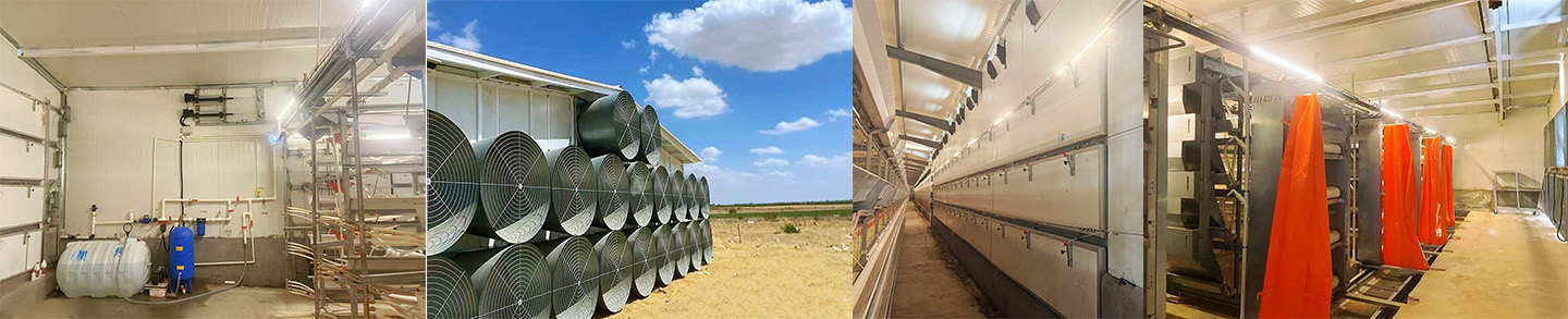 A New Model of China-Egypt Cooperation! Little Giant Builds a Modern 