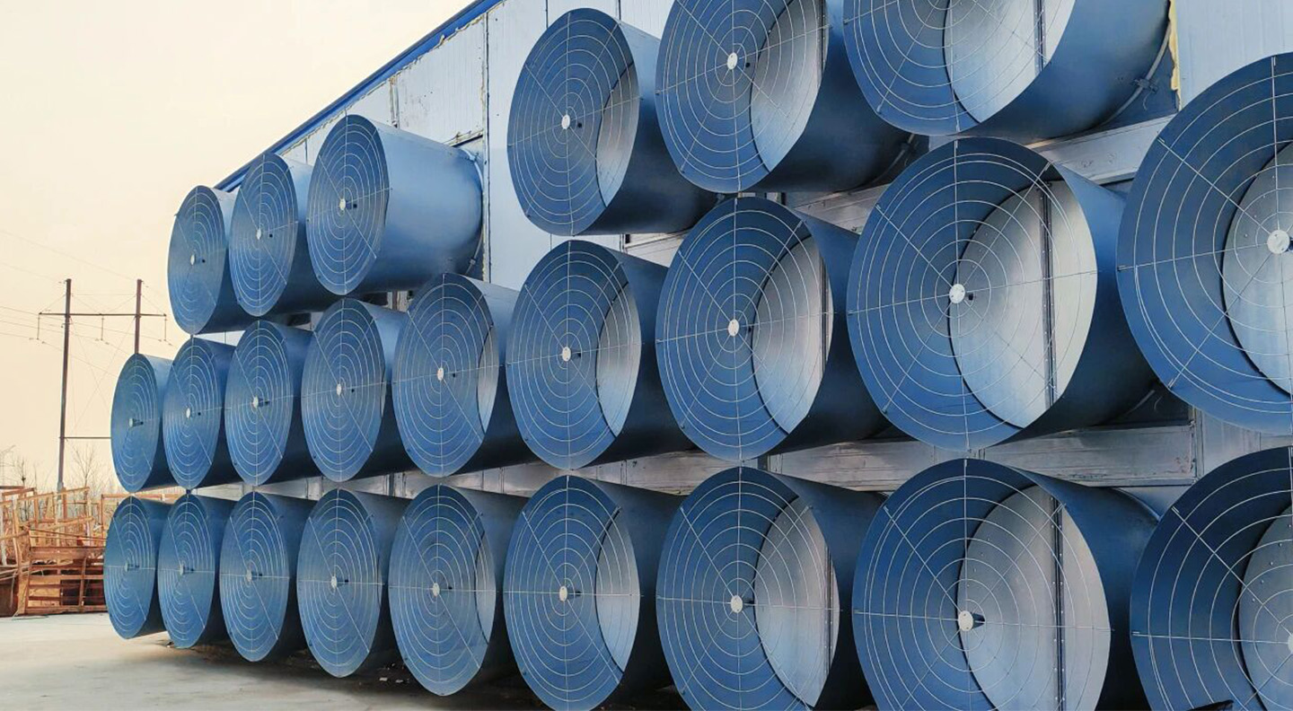 Another 2 Houses Delivered!Little Giant’s Total Delivery in Heze Exceeds 5 Million Layers