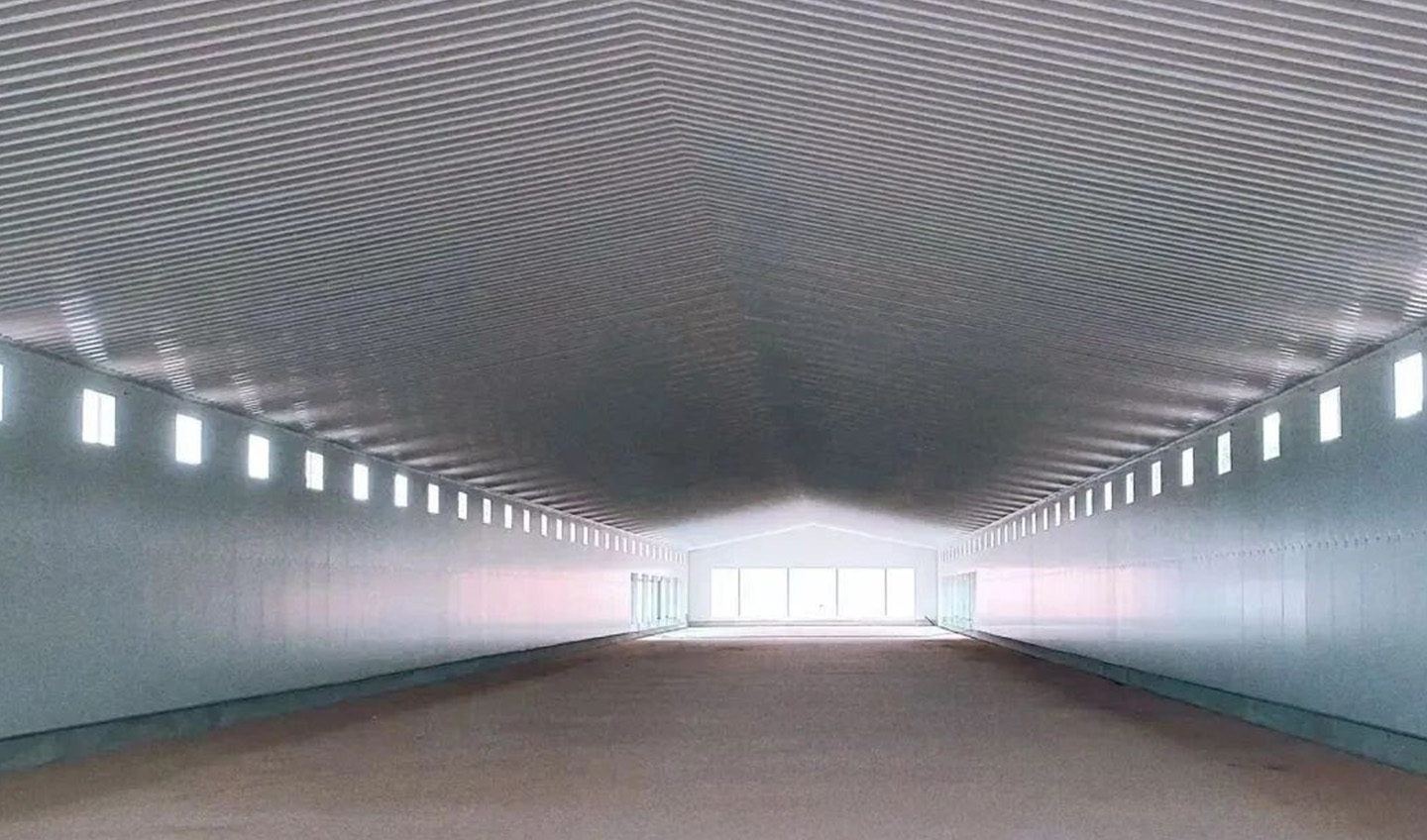 8 Steel Structure Chicken Houses Fully Completed! Witness the 