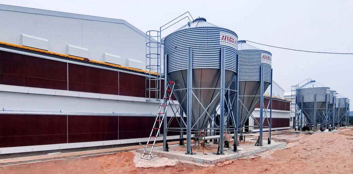 EPC Steel Structure Completed! Major Milestone Achieved in the Breeder House Construction of the Jia