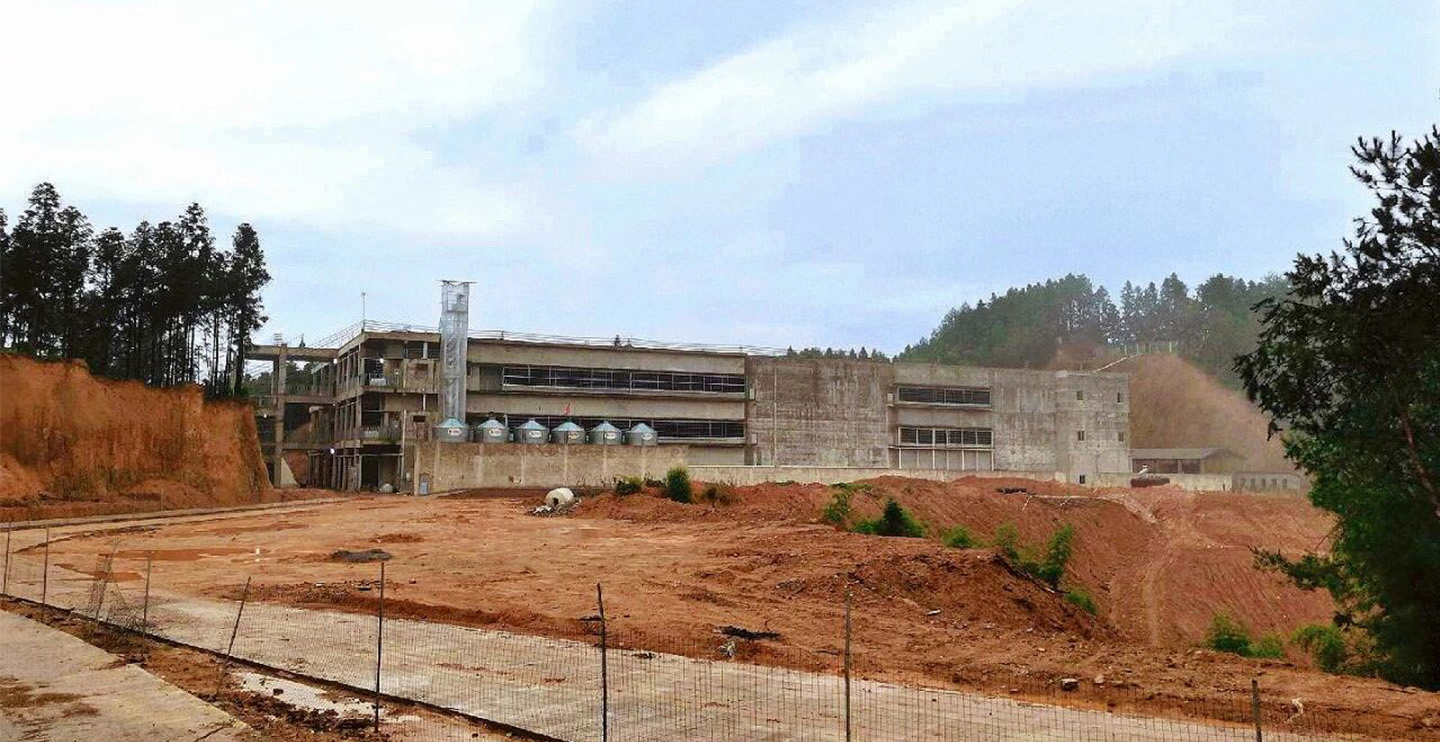 Multi‑Storey Chicken Farming! Little Giant’s Fujian Project Unlocks a New Model for 300,000 Broiler