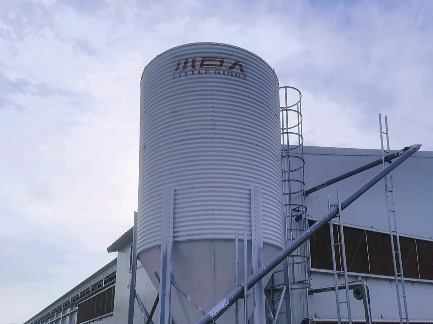 Phase I of the Anhui Project Successfully Completed! Little Giant Empowers Local Smart Livestock Far