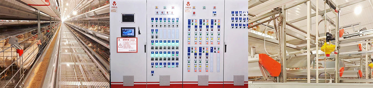 Successful Completion! Little Giant Intelligent Equipment Empowers Modern Farming in Macheng, Huangg