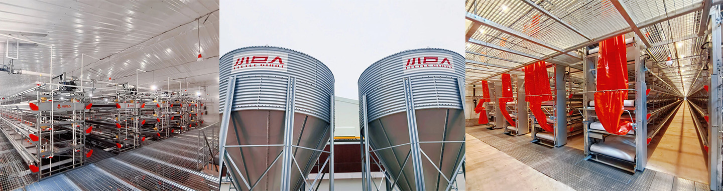 EPC Steel Structure Completed! Major Milestone Achieved in the Breeder House Construction of the Jia