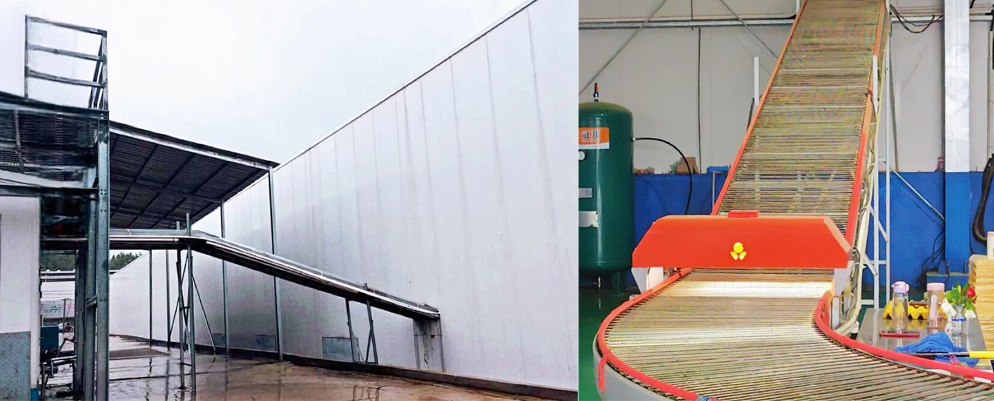 Successful Completion! Little Giant Intelligent Equipment Empowers Modern Farming in Macheng, Huangg