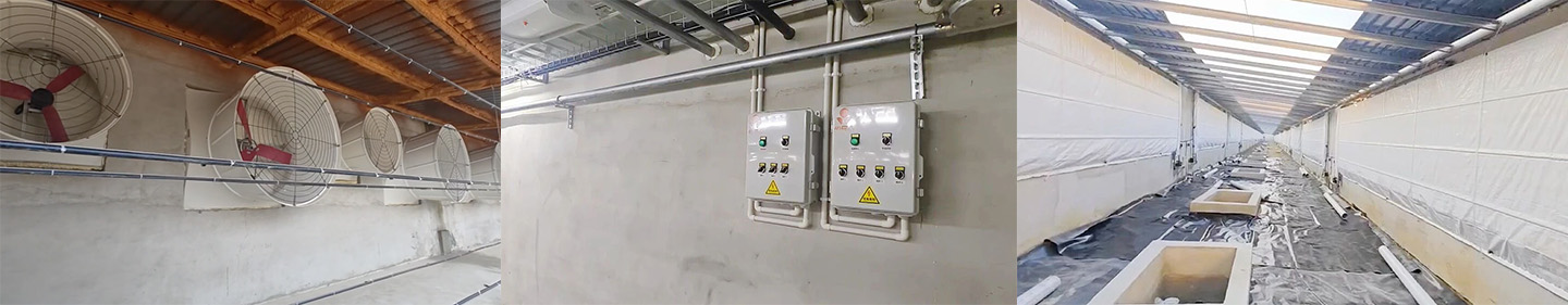 Full Production of 10,000-head Modern Pig Farm! Little Giant Helps Build a New Benchmark for Modern