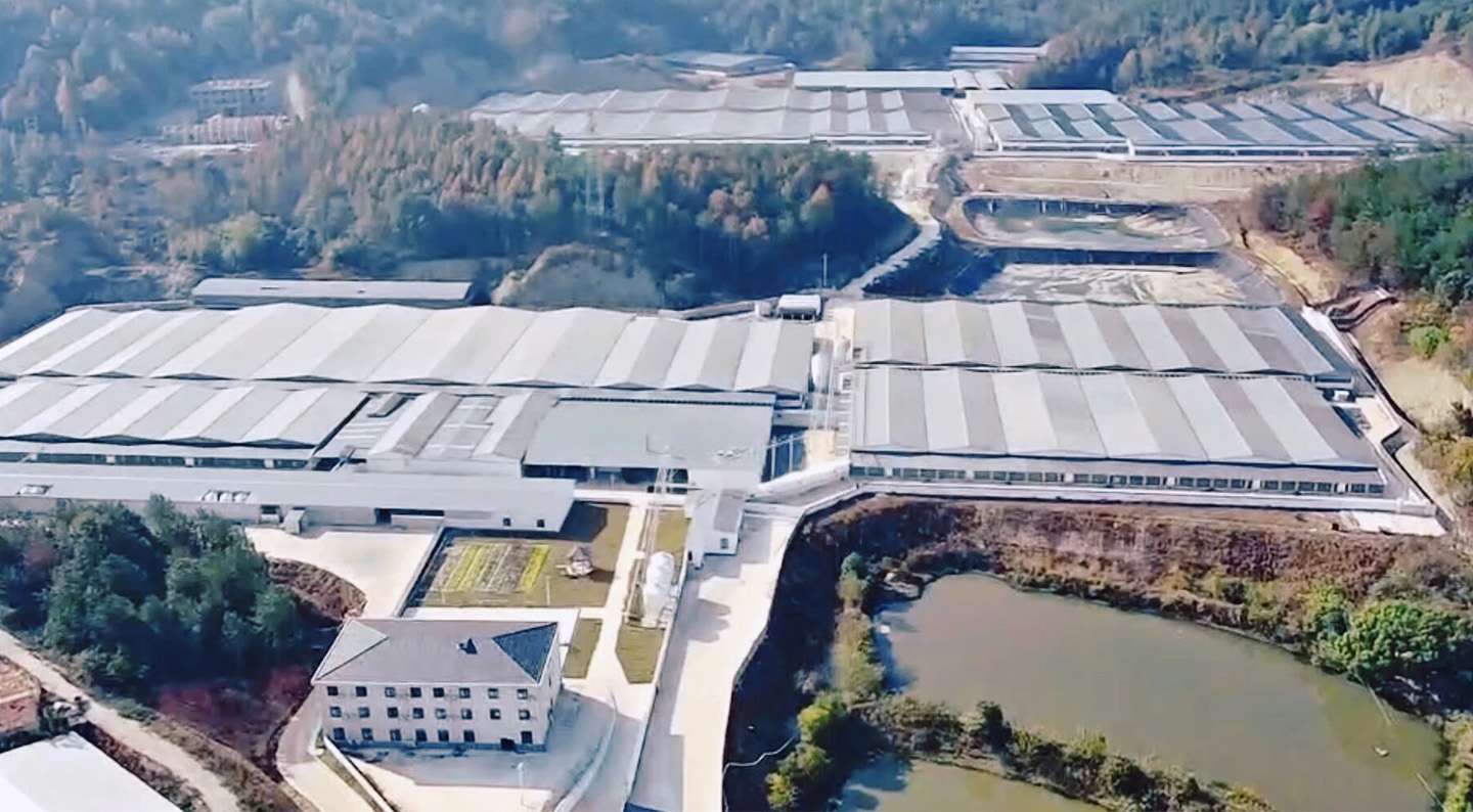 Full Production of 10,000-head Modern Pig Farm! Little Giant Helps Build a New Benchmark for Modern