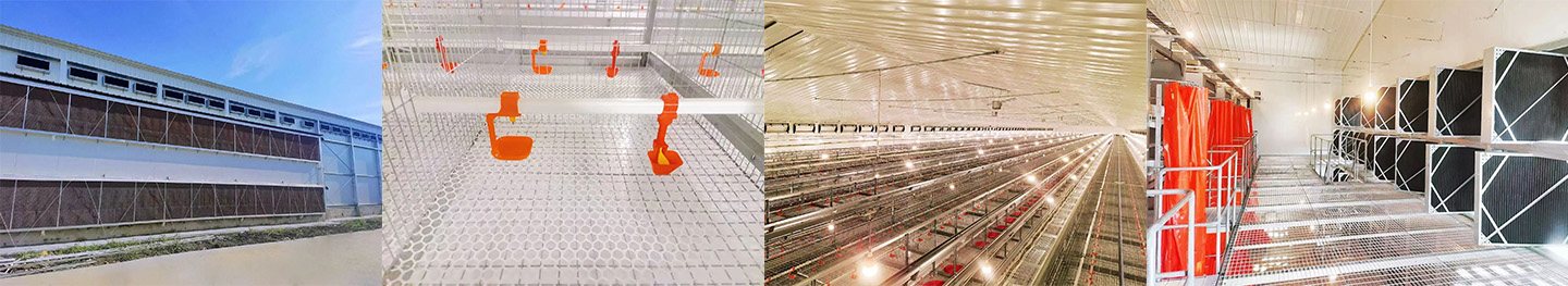 Phase I of the Anhui Project Successfully Completed! Little Giant Empowers Local Smart Livestock Far