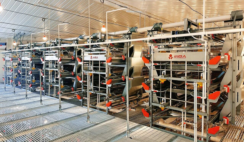 Brooding Equipment Installed!Little Giant Powers the Construction of a 2 Million Bird Modern Layer F