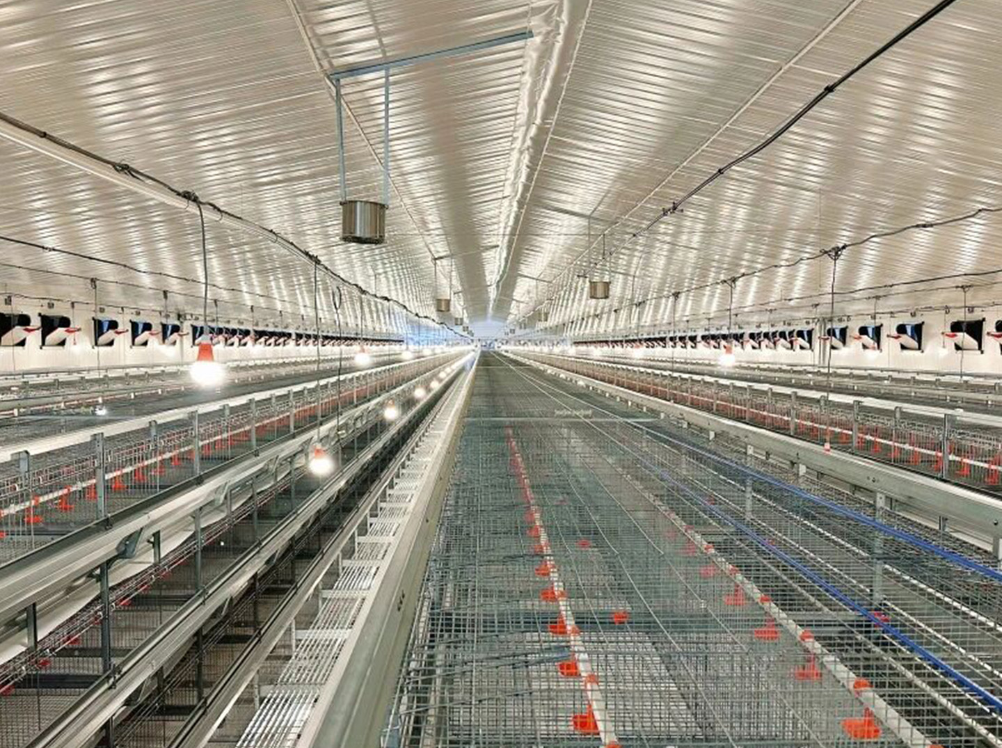 Brooding Equipment Installed!Little Giant Powers the Construction of a 2 Million Bird Modern Layer F