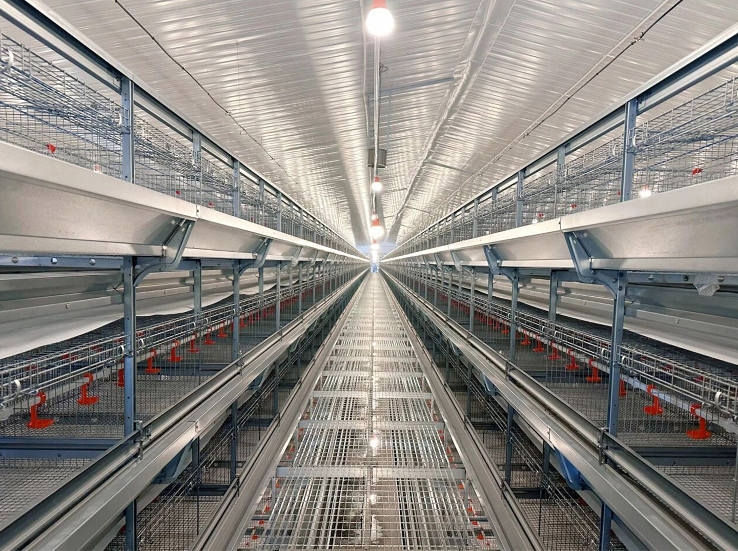 Brooding Equipment Installed!Little Giant Powers the Construction of a 2 Million Bird Modern Layer F