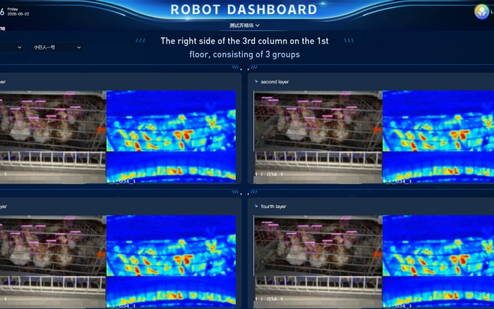How Automatic Egg Tray Packing System Works