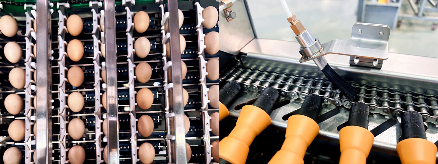 Unveiling the Key Features of the Little Giant BGP Series Customized Smart Egg Grading System