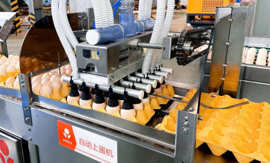 Unveiling the Key Features of the Little Giant BGP Series Customized Smart Egg Grading System