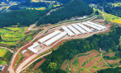 Little Giant&rsquo;s 3-Million-Broiler EPC Project in Shehong Enters Final Phase of Construction